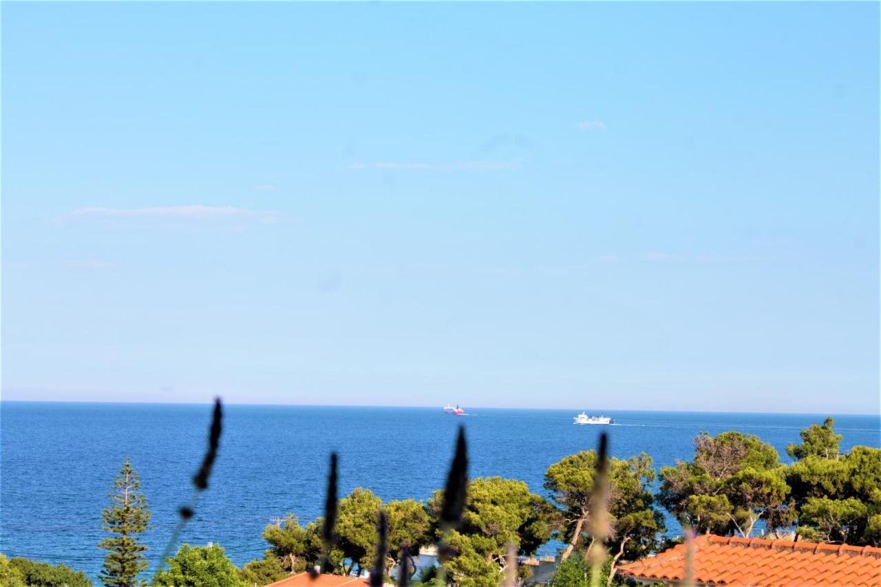 Sea View Apartment 15 Min From Athens Airport Nea Makri Exterior photo