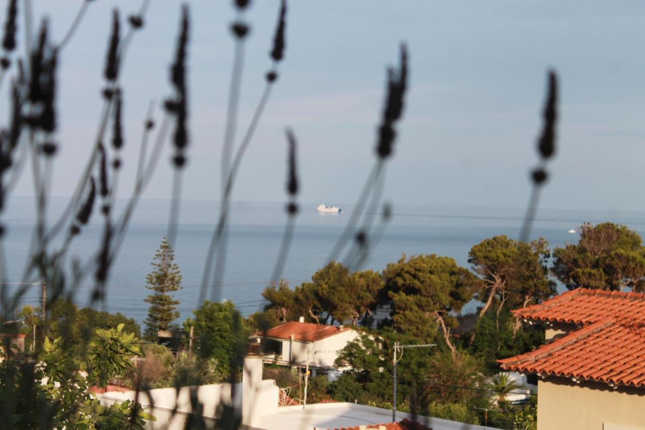 Sea View Apartment 15 Min From Athens Airport Nea Makri Exterior photo